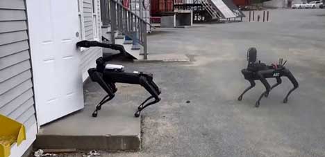 ������ ������
