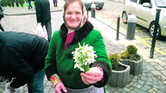 ������ ������