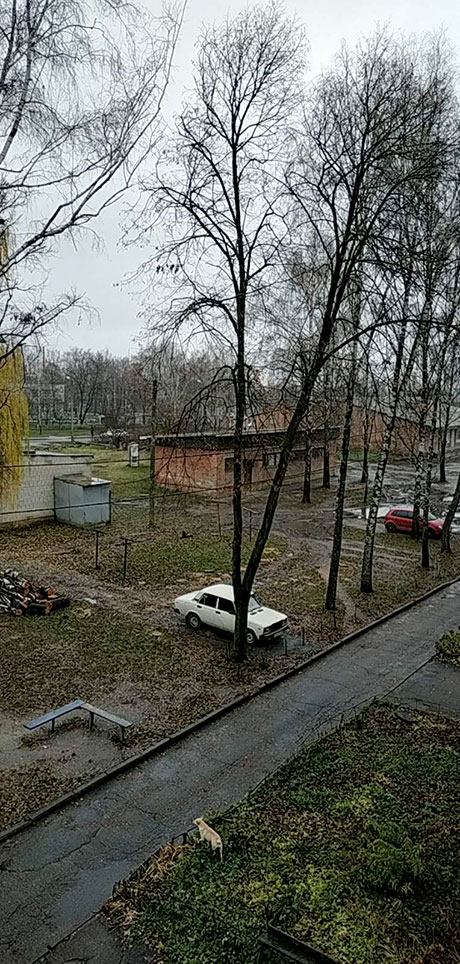 ������ ������