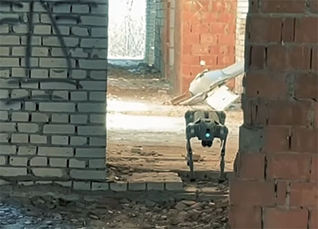 ������ ������