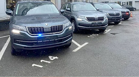 ������ ������